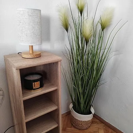 Centar Sare Biograd Na Moru