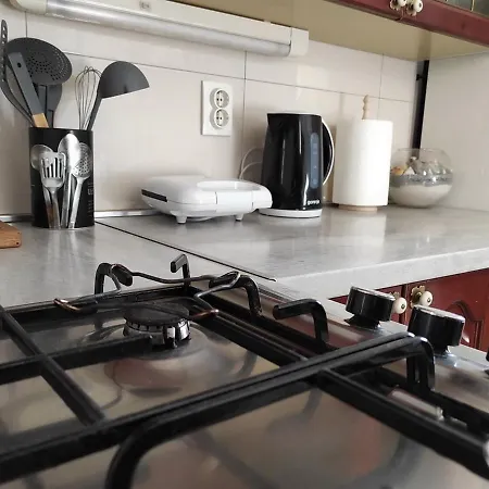 Apartmán Centar Sare *