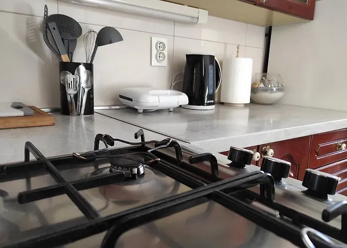 Apartmán Centar Sare *