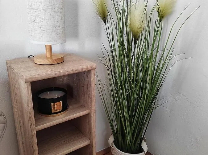 Centar Sare Biograd Na Moru