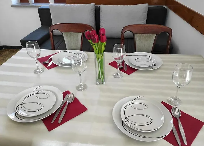 Centar Sare Biograd Na Moru